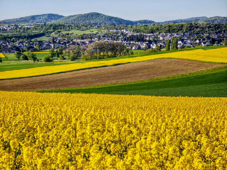 20260425 1024 Thuer im Rhapsfeld HDR 182347